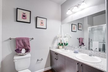 Vanity Lights at Century Ariva, Lakeland, FL 33812  